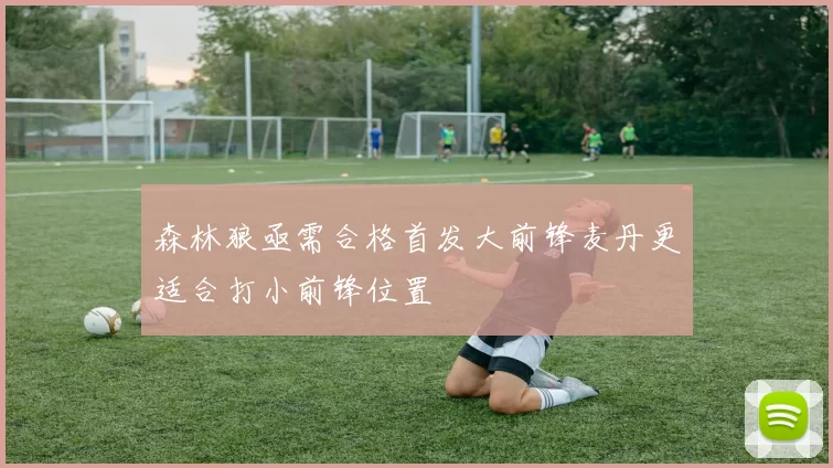 森林狼亟需合格首发大前锋麦丹更适合打小前锋位置